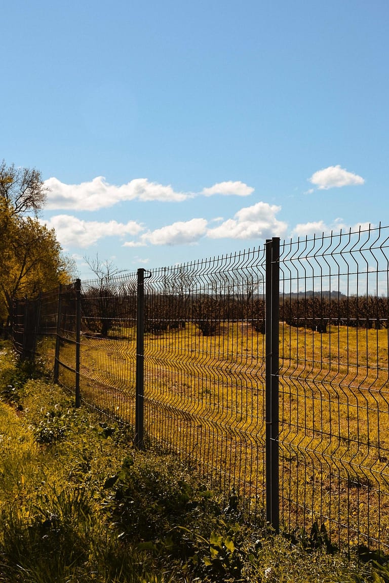 metal fencing for security